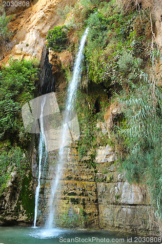 Image of Ein Gedi Nature Reserve off the coast of the Dead Sea