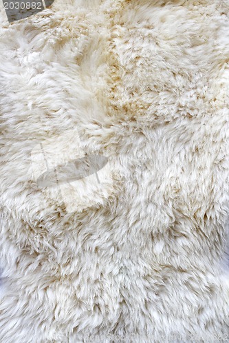 Image of Fur material