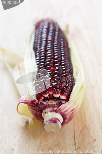 Image of Fresh corn