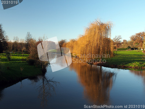 Image of Trees reflections at dawn, Vonne river in Winter