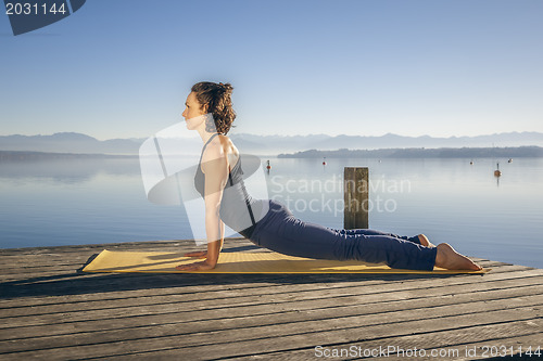 Image of Urdhva Mukha Shvanasana