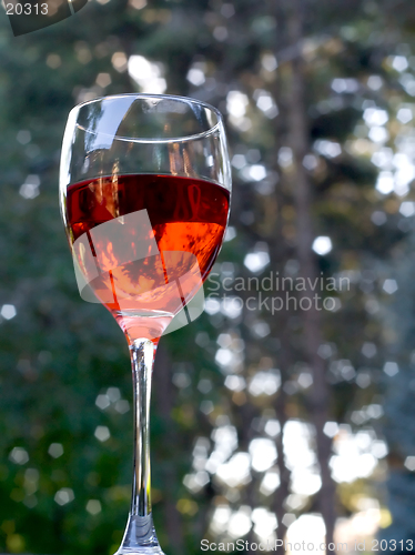 Image of Glass of red wine outdoors