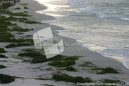 Image of beach in sweden