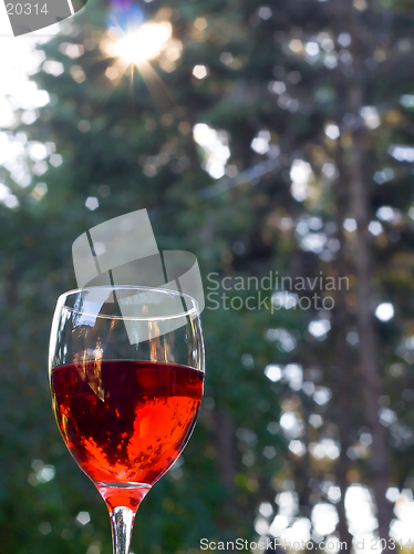 Image of Glass of red wine outdoors with lens flare