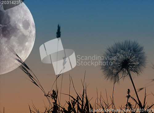 Image of Landscape with the moon