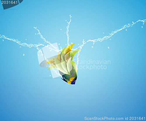 Image of Angelfish jumping