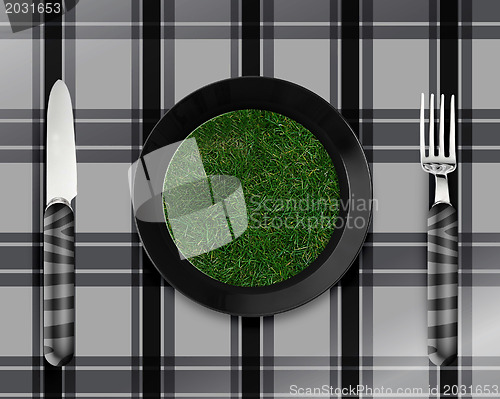 Image of green grass on black plate