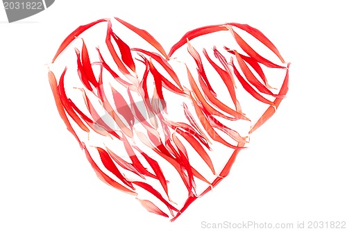 Image of Heart from red petals over white