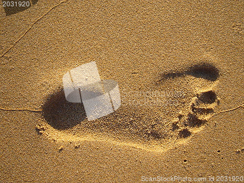 Image of footprint in the sand