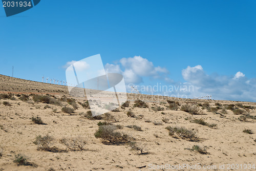 Image of Fuerteventura