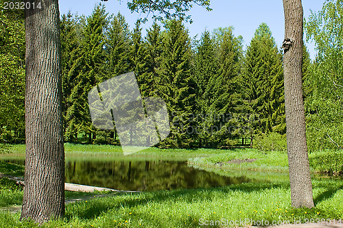 Image of A pond in the royal park. St. Petersburg. Russia.