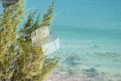 Image of Ocean