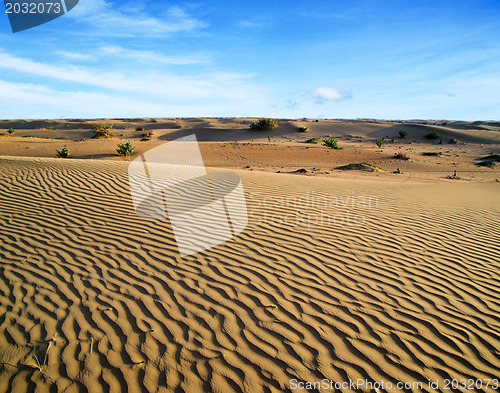 Image of Desert landscape 