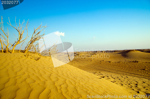 Image of Desert landscape 