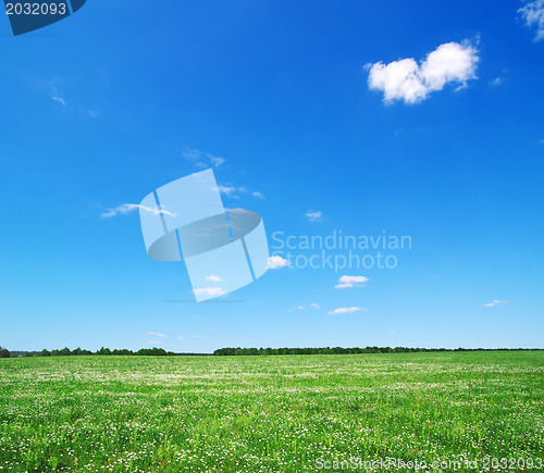 Image of green field