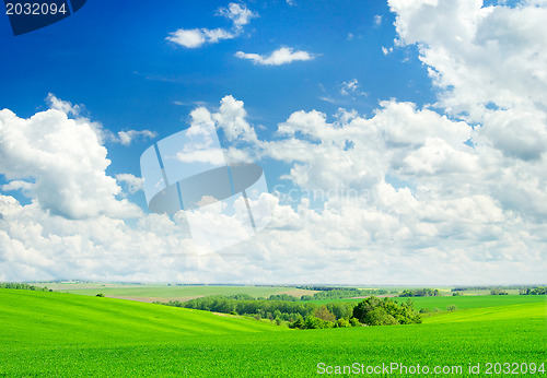 Image of green field and blue sky