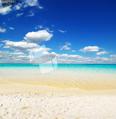 Image of  sea