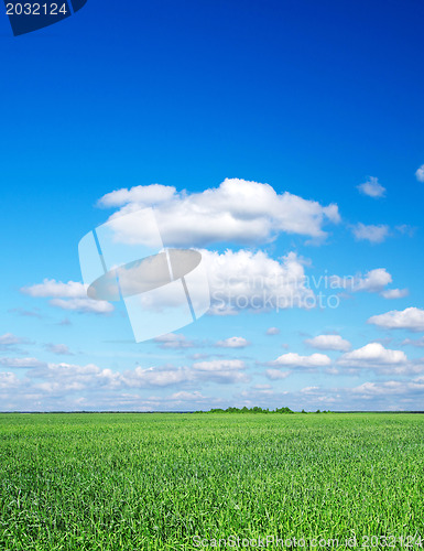 Image of green field