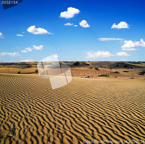 Image of Desert landscape 