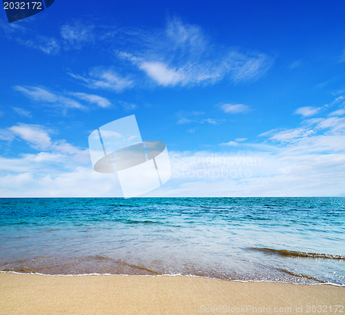Image of  sea