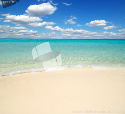 Image of  sea