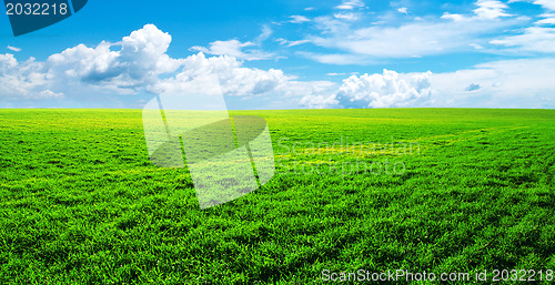 Image of field