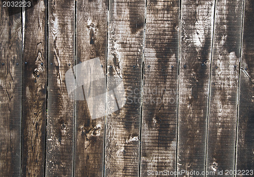 Image of  wood texture 