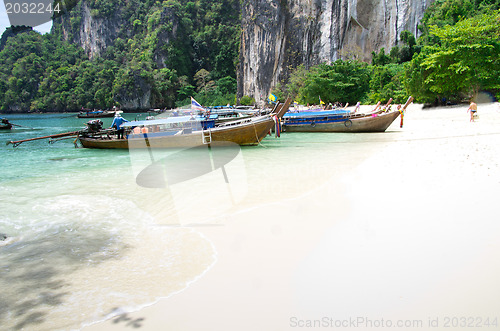 Image of Tropical beach