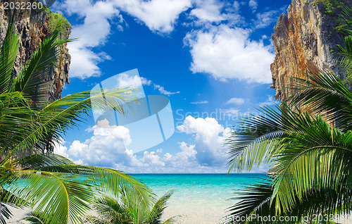 Image of  sea