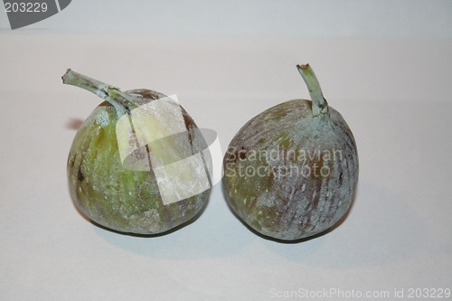 Image of Fresh figs from Brazil