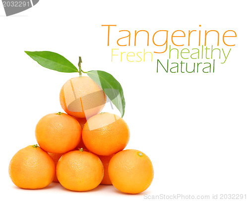 Image of Tangerine