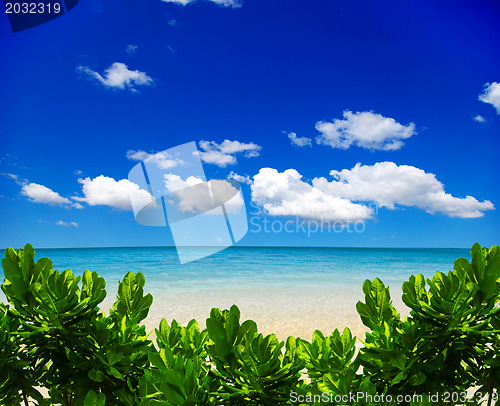 Image of  sea