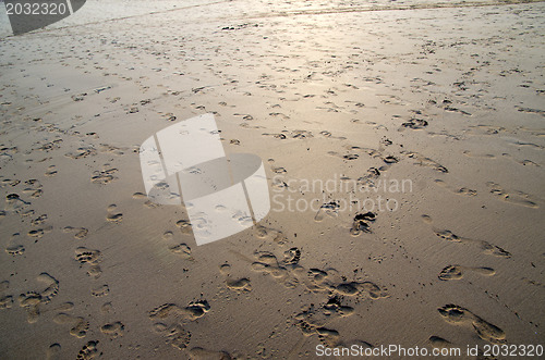 Image of  sand