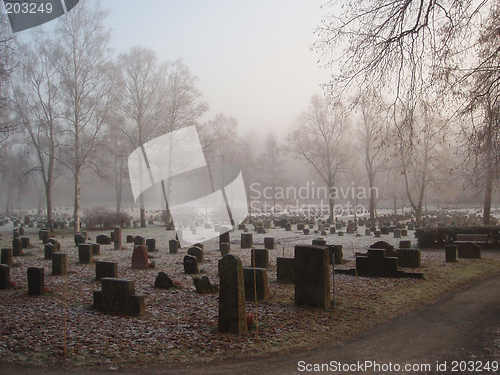 Image of Misty  graveyard