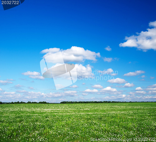 Image of green field