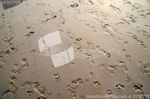 Image of  sand