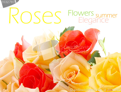 Image of Roses