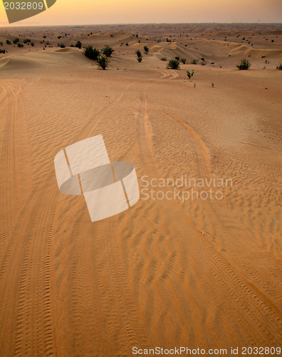 Image of Desert