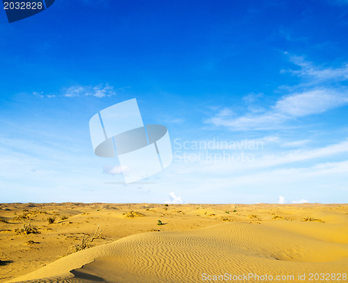 Image of Desert landscape 