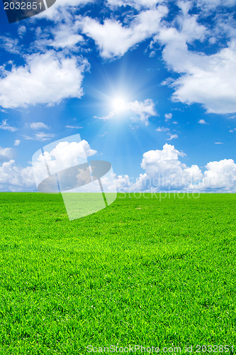 Image of field 