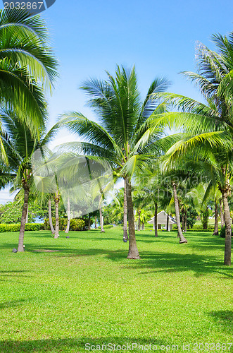 Image of Garden