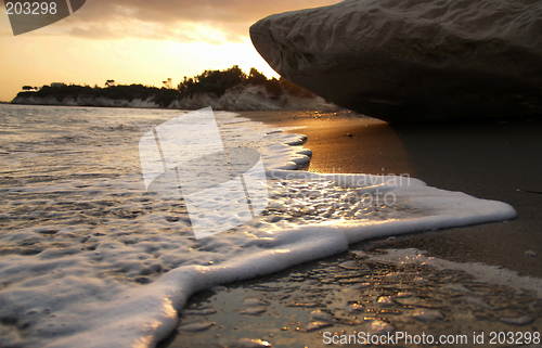 Image of Sea Foam