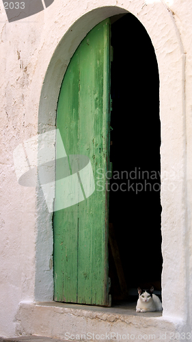 Image of Cat in a doorway 2