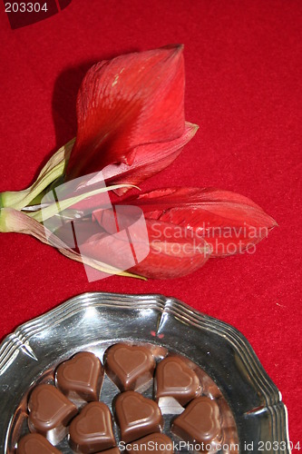 Image of Chocolate hearts and amaryllis buds