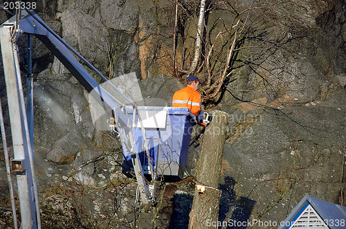 Image of Man in lift - Cutting trees