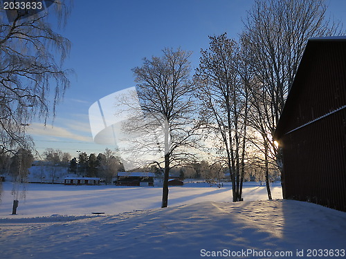 Image of Winter