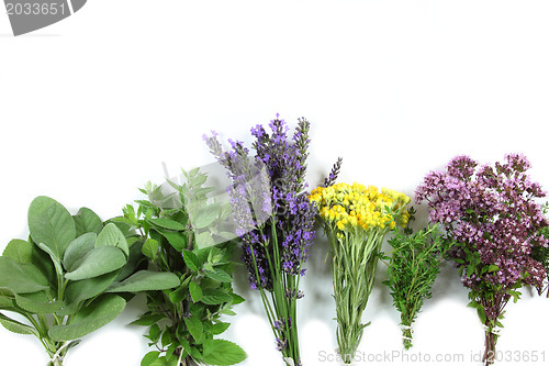 Image of Fresh herbs