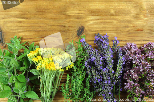 Image of Fresh herbs