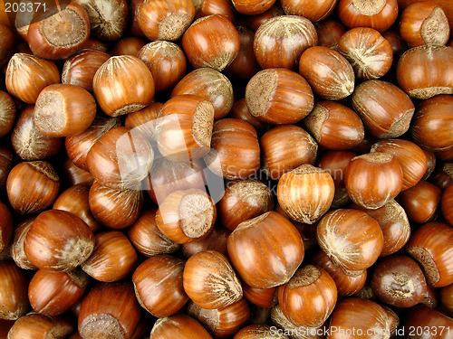 Image of Nuts