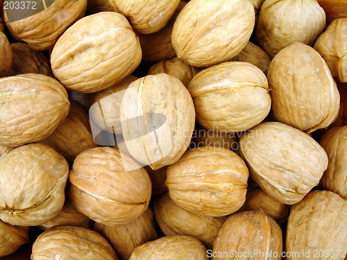 Image of Nuts